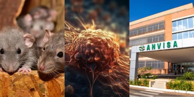 Bactéria mortal e pelo de rato: A proibição da ANVISA contra 3 produtos amados pelas donas de casa