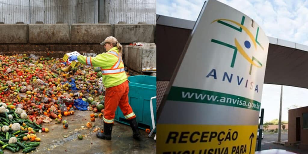 3,2 toneladas de comida no lixo, ratos e baratas: Ordem da ANVISA e interdição de 2 restaurantes e mercado