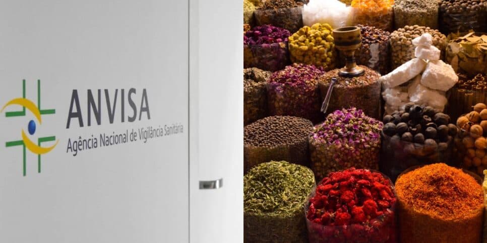 Fatal: Anvisa proíbe tempero popular às pressas com retirada de lojas