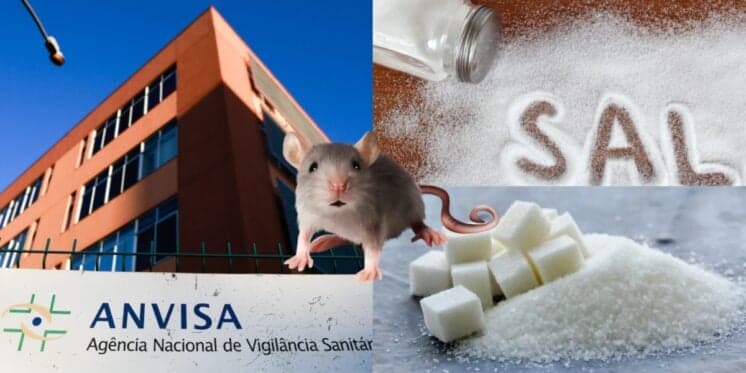 Fezes e pelo de rato: A PROIBIÇÃO da ANVISA contra marca de sal e açúcar e situação HOJE (24)