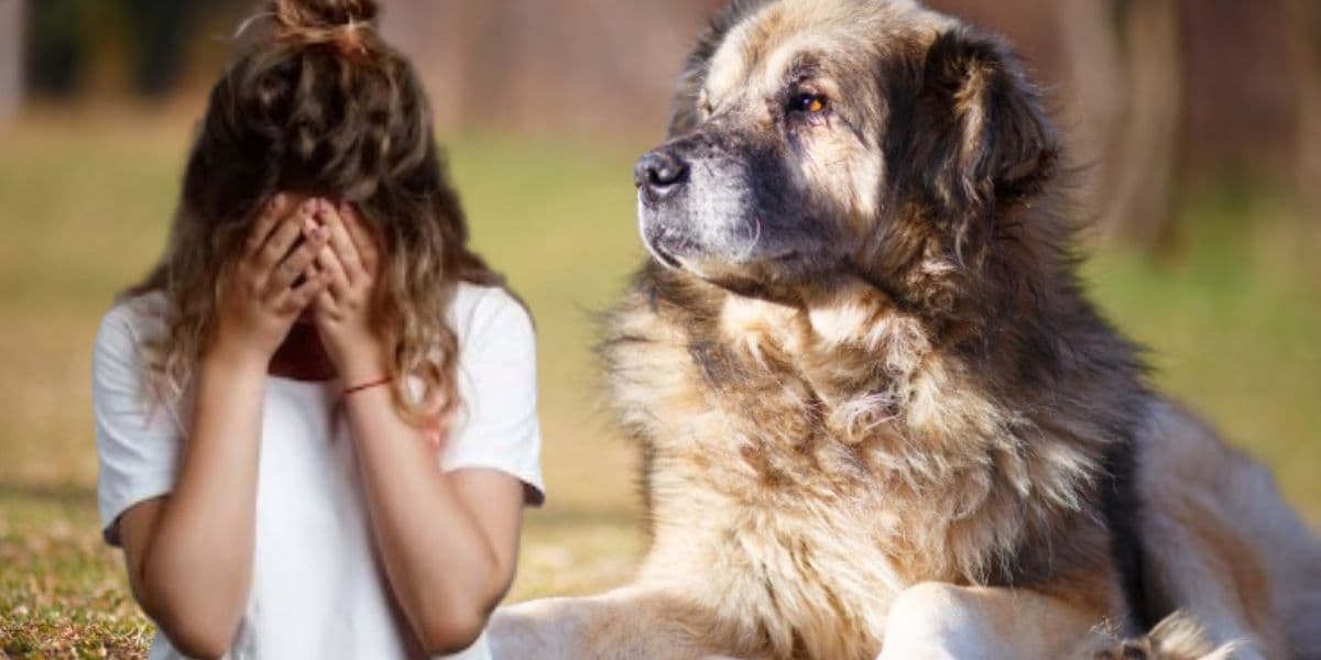 Tentam esconder: 5 raças de cachorros amados entram em extinção, fazem Brasil chorar e você não sabia