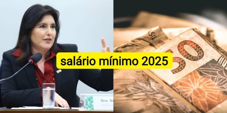 Anúncio de Tebet, valor maior que o esperado e reviravolta: Viradas do salário mínimo 2025 chegam HOJE (17)