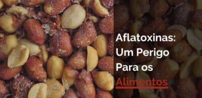 Aflatoxina provoca riscos à saúde (Foto: Reprodução / Canva)