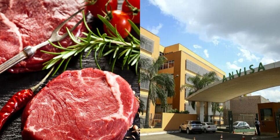Vômito e diarreia: O decreto e proibição da ANVISA contra marca popular de carne arrancada dos mercados