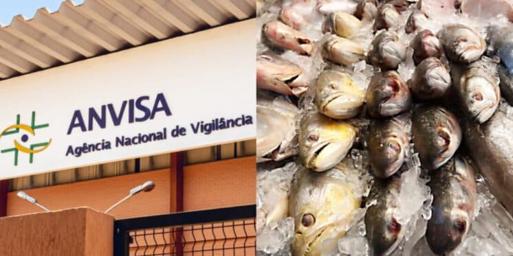 Vômito e diarreia: Anvisa retira às pressas marca de peixe das prateleiras dos mercados e situação hoje em 2024