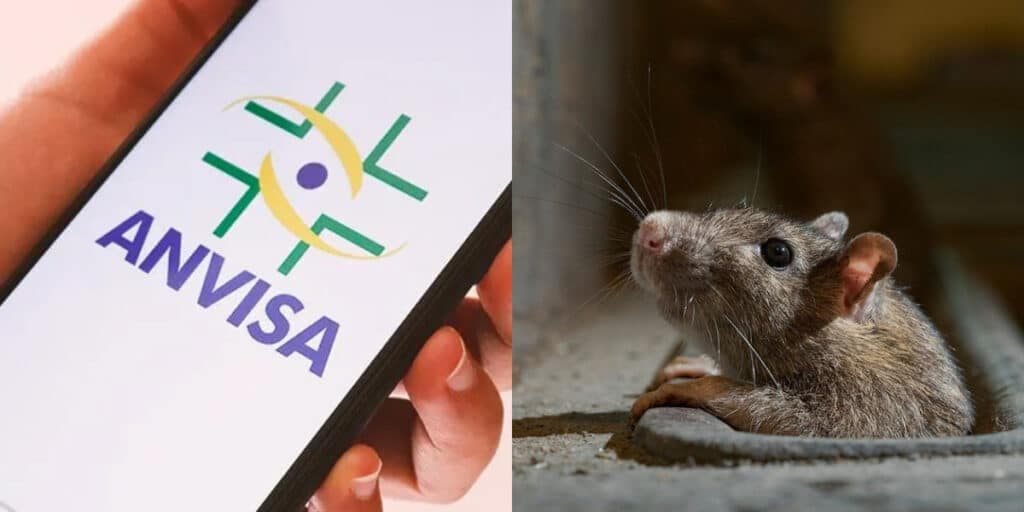 Infestado por ratos e baratas: A interdição às pressas da Vigilância Sanitária fechando restaurante amado