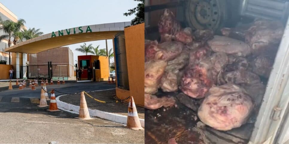 300kg de carne podre e ratos: A Anvisa decretou a interdição de 3 açougues tradicionais às pressas por nojeira