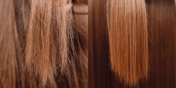 Fim do cabelo ressecado e pontas duplas: Receitinha com apenas 1 ingrediente salva seu cabelo da tesoura