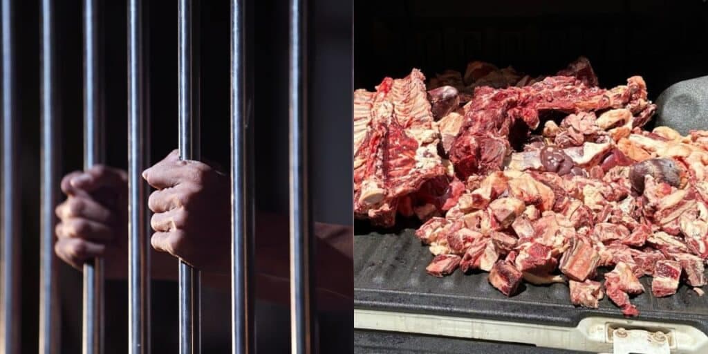 Nojeira e prisão: Açougue tradicional e mercado vivem escândalo por venda de carne podre e 137kg vão pro lixo