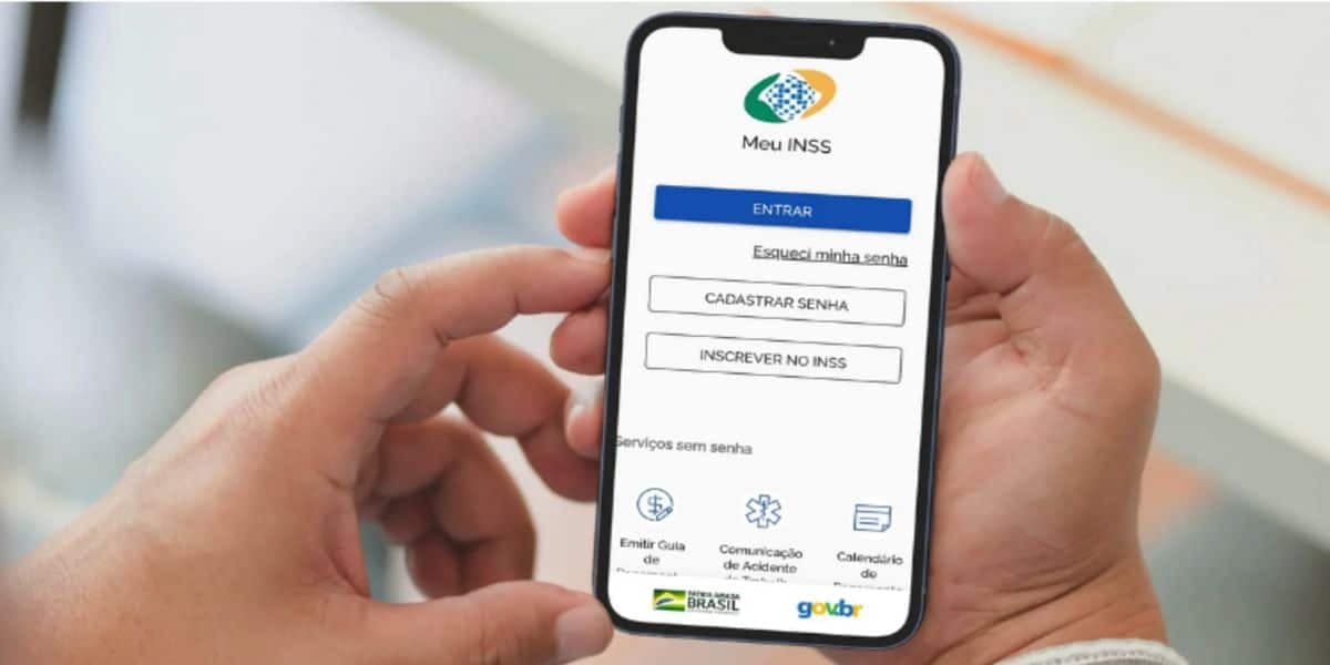 Meu INSS é o principal aplicativo do programa (Reprodução: Internet)