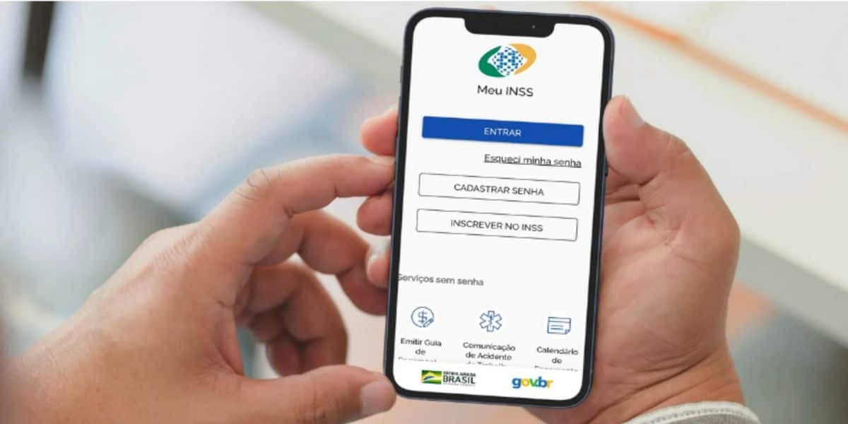 Da para consultar todas as informações através do Meu INSS (Reprodução: Internet)