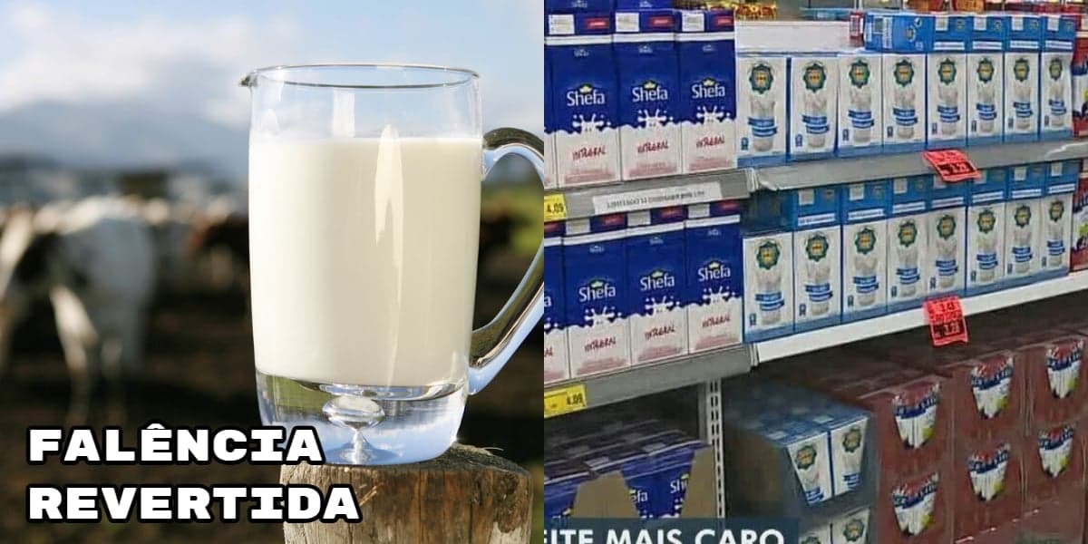 R$222,5 milhões na mesa e ressurreição: Gigante dos leites reverte falência e faz volta TRIUNFAL a mercados
