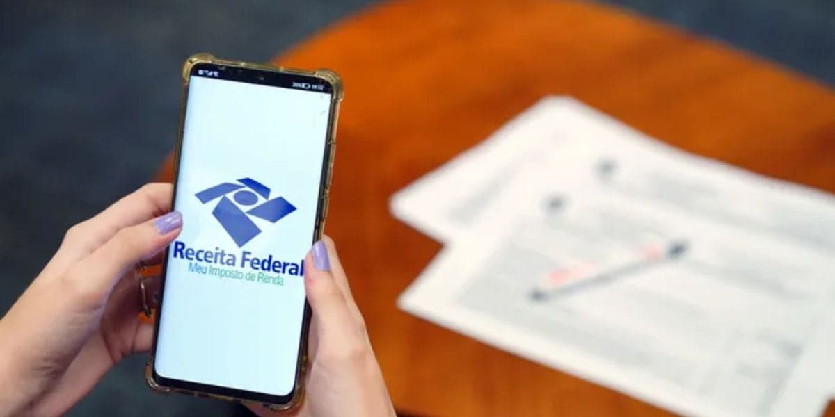 O aplicativo da Receita Federal contém todas as principais informações (Reprodução/ Foto: Marcos Serra/ G1)
