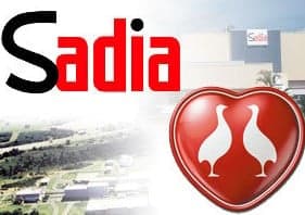 Sadia e Perdigão fizeram uma fusão (Foto: Reprodução / Conjur)