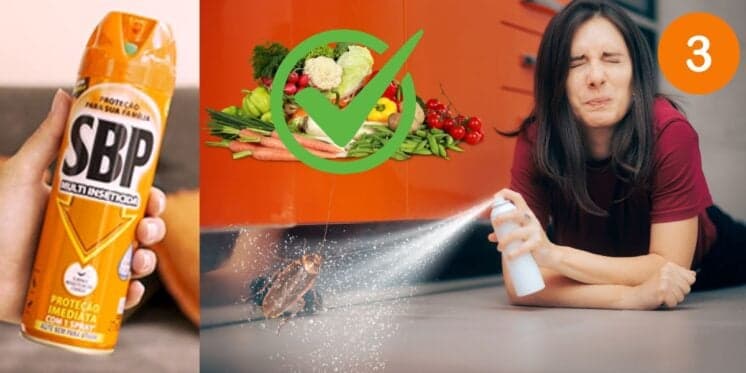 SBP não quer que você saiba: Único ingrediente que toda dona de casa tem extermina as baratas em 3 passos