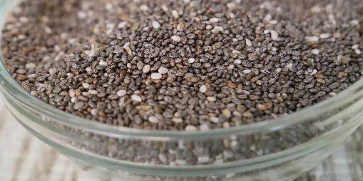 A semente de Chia é muito importante para o corpo humano (Reprodução/ Foto: UFV)
