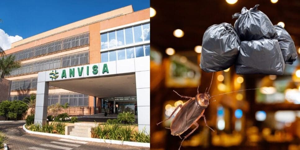"Permanecerá fechado": A interdição urgente da ANVISA contra 3 restaurantes de SP diante de nojeira e baratas