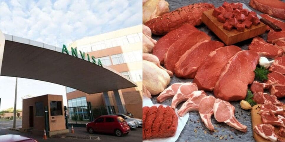 Frango, carne e +: A Anvisa decretou a retirada de 3 carnes populares dos mercados diante de risco fatal