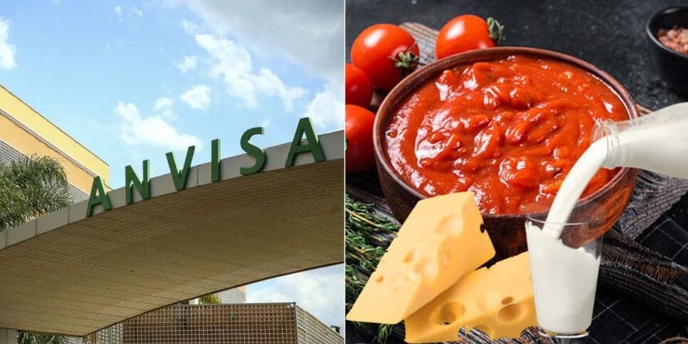 Pelo de rato e risco fatal: A Anvisa decretou a retirada de 3 marcas populares de molho, leite e queijo