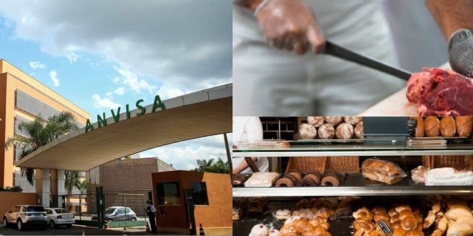 Rato, carne podre e nojeira: A interdição da Anvisa contra padaria e açougue tradicionais de SP às pressas
