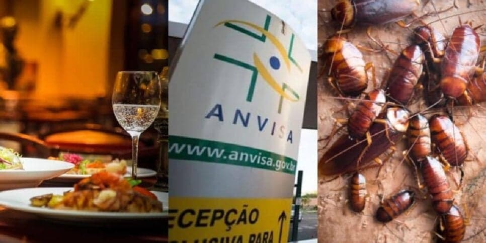 Interdição, barata e lixo na comida: A proibição da Anvisa contra padaria e restaurante queridinho em SP