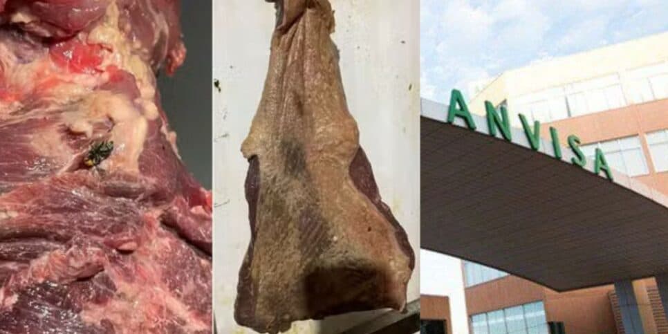 Podridão: A Anvisa decretou a interdição às pressas de 3 açougues em SP por carne podre, larvas e insetos