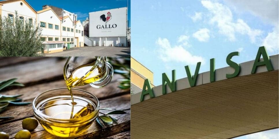 Risco de câncer: ANVISA acaba de banir azeite rival da Gallo de todos os mercados e ele pode estar na sua casa