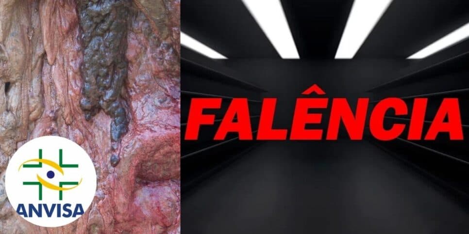 Falência, interdição da ANVISA e 825kg de carne podre: O fim decadente de rede de açougues tradicional