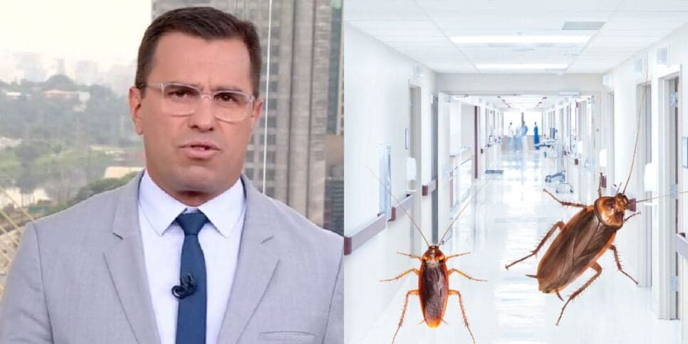 Baratas em pacientes e podridão: Bocardi paralisa BDSP com escândalo e nojeira de hospital paulista gigante