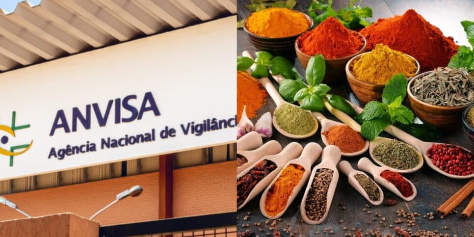 Risco à saúde e substância fatal: Anvisa proíbe tempero popular às pressas e ordena retirada dos mercados