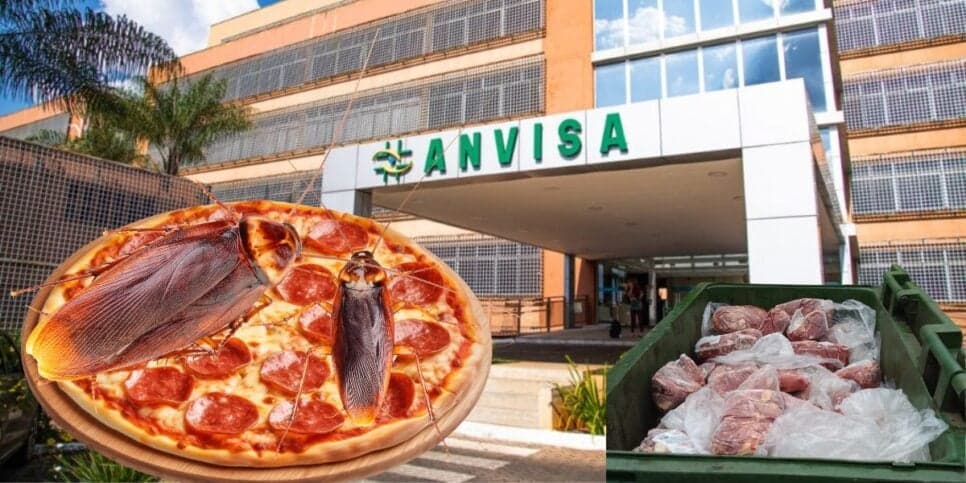 Pizza com baratas e 1 tonelada no lixo: Ordem da ANVISA fecha restaurante amado do RJ e mercado gigantesco