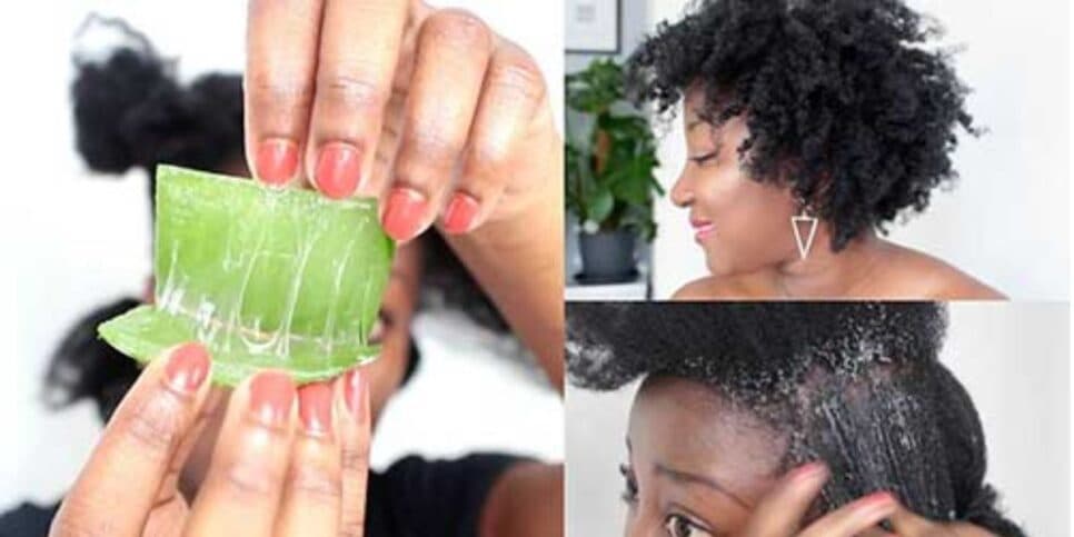 A planta hidrata o cabelo (Reprodução: Internet)