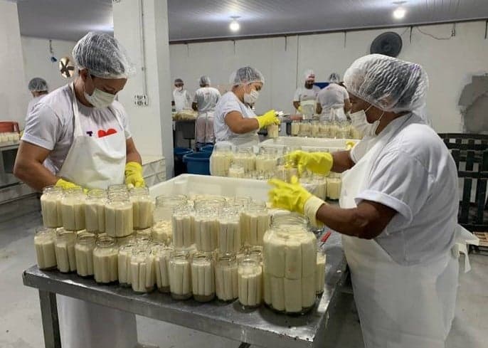 Fábrica Alteroza, produzindo o produto Palmito de Açaí em Conserva (Foto: Reprodução / SEDEME)

