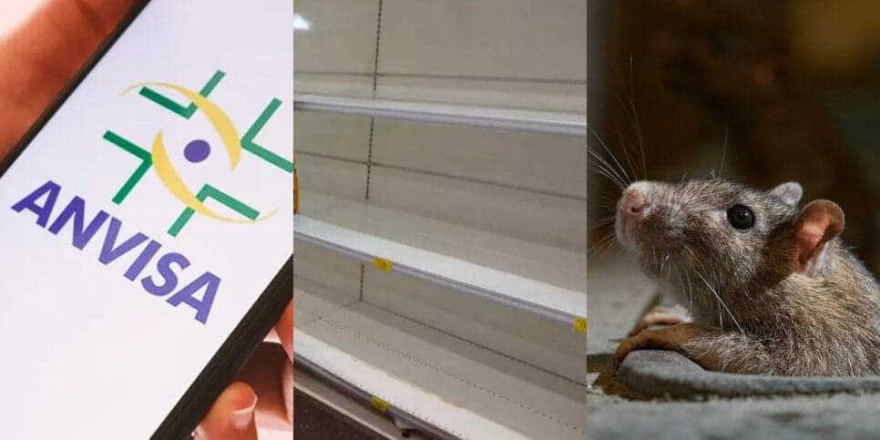 Substância fatal e pelo de rato: A Anvisa decretou a retirada de 5 marcas de temperos populares de mercados