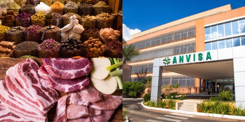 Proibição da ANVISA, falência e leilão de fábrica: 3 viradas dos temperos e carnes fazem Brasil perder o chão