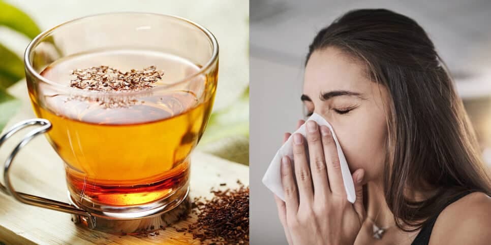 Fim da rinite: Chá milagroso com 1 ingrediente deixa mulheres 40+ imunes a doenças respiratórias 