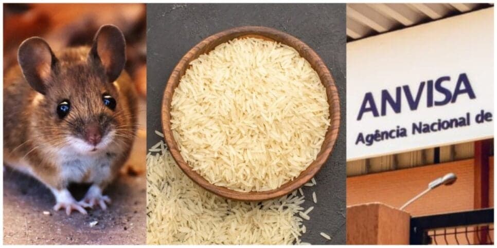 Risco à saúde: Anvisa decreta proibição de marca de arroz, arrancada dos mercados e situação HOJE (02)
