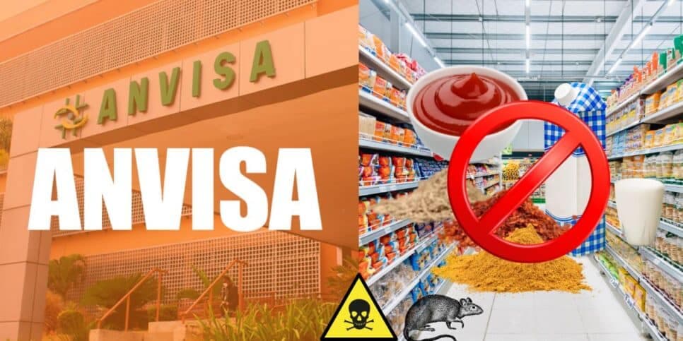 Pelo de rato e substância fatal: A proibição da Anvisa contra 3 marcas de leite, molho e tempero de mercados