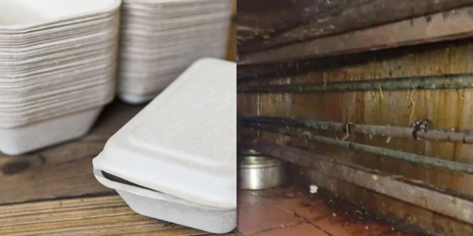 Fezes e vermes em panelas, fogões e mais: Restaurante popular é lacrado às pressas após escândalo nojento