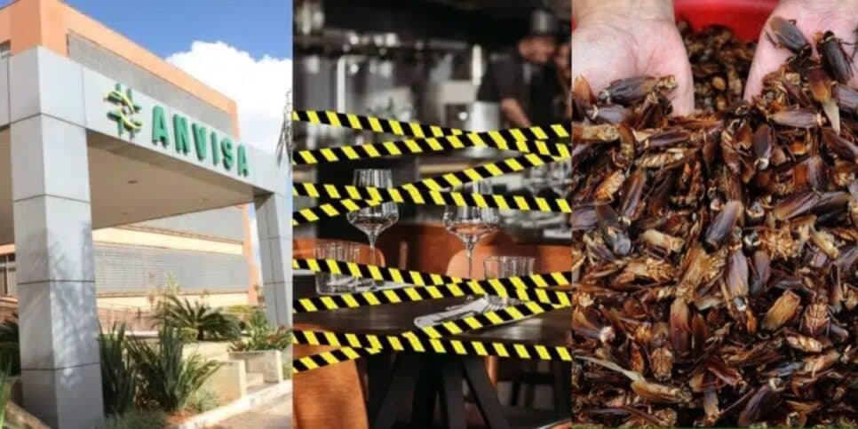 Baratas e insalubridade: Bom Dia, da Globo, confirma ordem da ANVISA pra larcrar 4 restaurantes populares