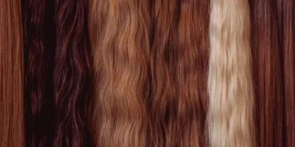 Deixe seu cabelo impecável com esses 3 alimentos (Reprodução: Internet)