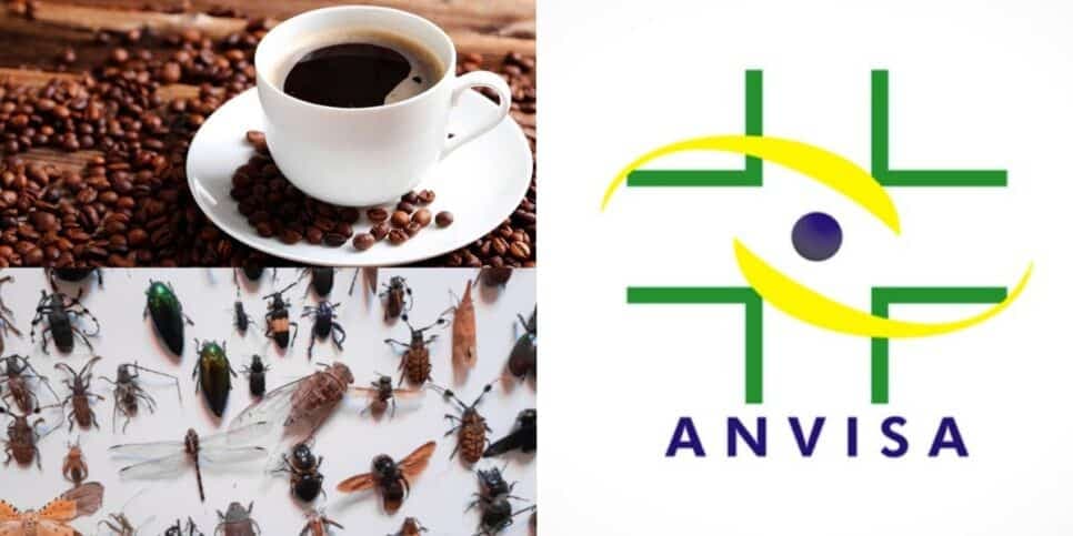 Inseto inteiro e risco à saúde: A marca popular de café proibida às pressas pela ANVISA e tirada dos mercados