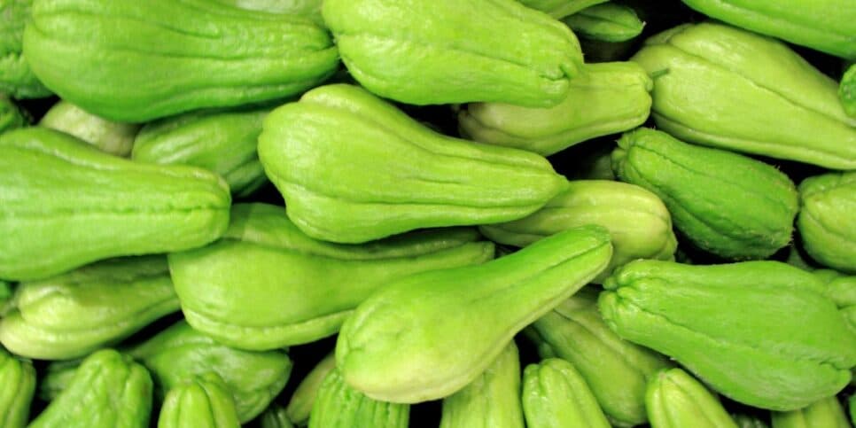 Chuchu é rico em diversas vitaminas que ajuda a acabar com a dor nas articulações (Reprodução: Internet)