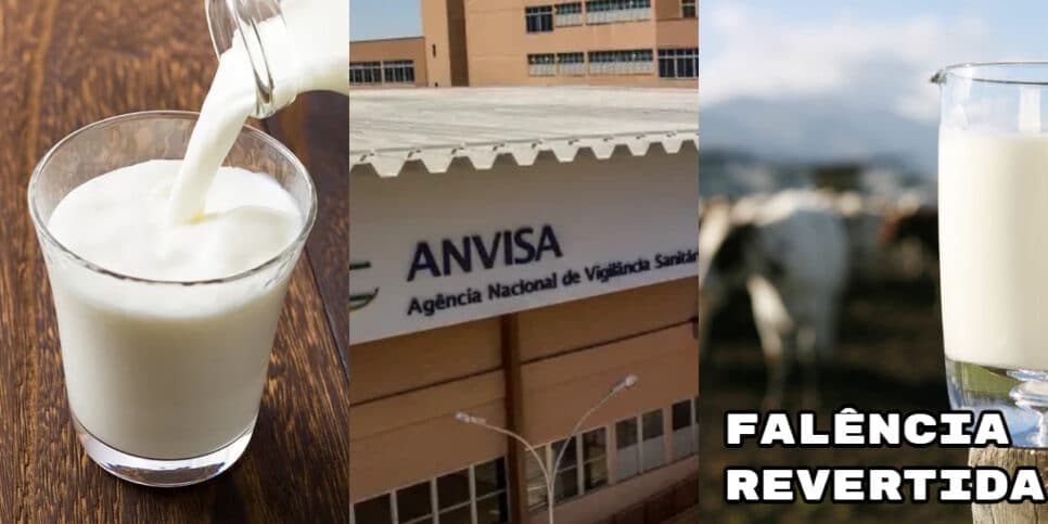 Proibição da ANVISA e ressurreição da falência: 2 gigantes dos leites têm virada no Brasil