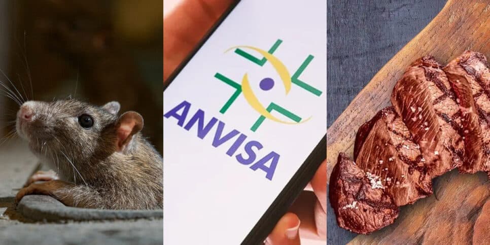 100kg de carne podre, rato e nojeira: A Anvisa interdita restaurante de shopping, mercado e + 4 populares