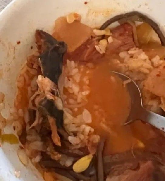 Rato na comida (Foto: Reprodução/Internet) Rato na comida (Foto: Reprodução/Internet)