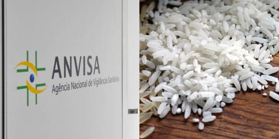 Proibição da Anvisa: A marca de arroz arrancada das prateleiras dos mercados e situação da empresa HOJE (22)