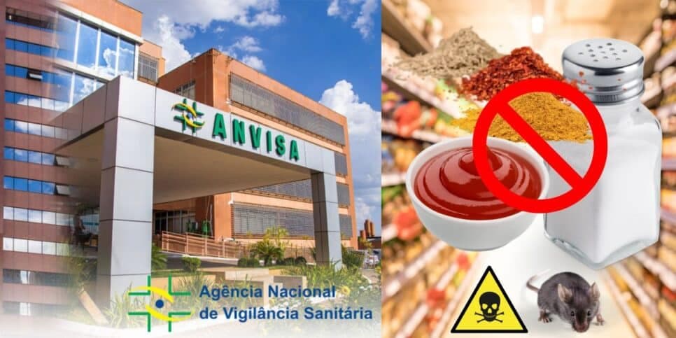 Substância fatal, pelo de rato e +: A proibição da Anvisa contra 3 marcas populares de molho, sal e tempero