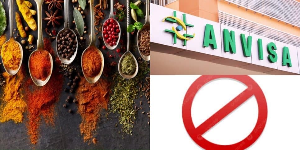 Restos de rato e insetos: A proibição às pressas da ANVISA contra marca de tempero tão popular quanto a Knor
