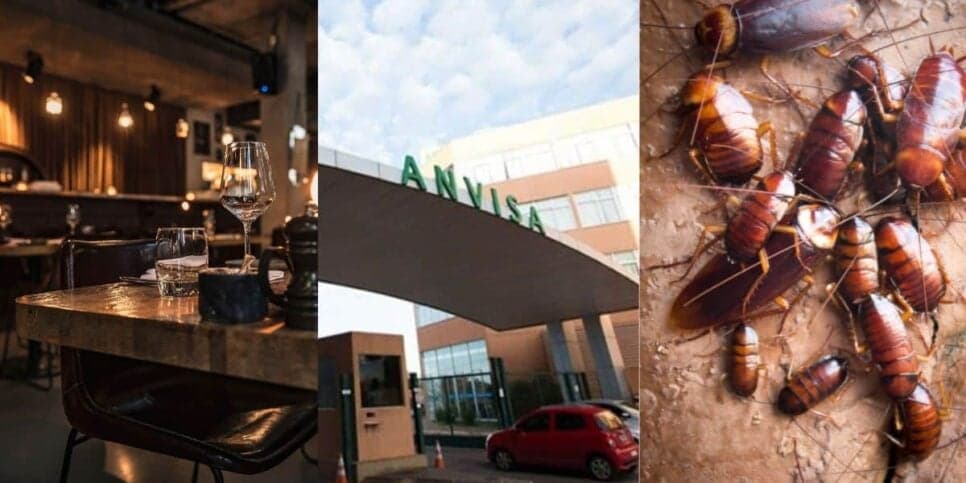 Nojeira e risco a saúde: A interdição urgente da ANVISA contra 4 restaurantes populares em SP